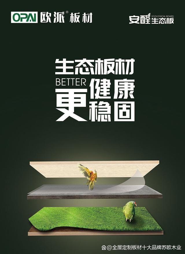 十大品牌有哪些(不分先后)k8凯发马竞赞助多层实木板(图3)