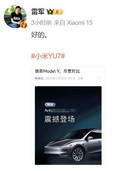 el Y领衔2025年15款新车前瞻k8凯发国际小米YU7和焕新Mod(图3)