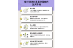家强化韧性的新引擎循环经济：发展中国